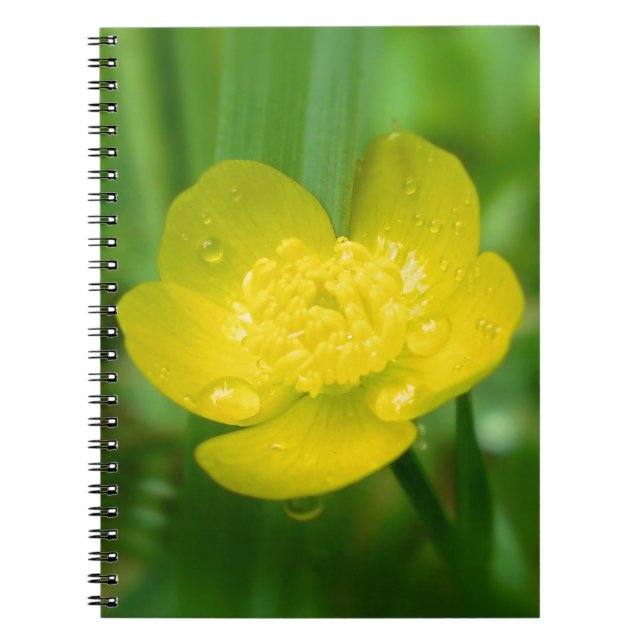 Appalachian Buttercup Notebook Notizblock (Vorderseite)