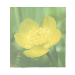 Appalachian Buttercup Notepad Notizblock
