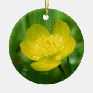 Appalachian Buttercup Ornament