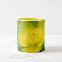 Appalachian Buttercup-Tasse Zweifarbige Tasse