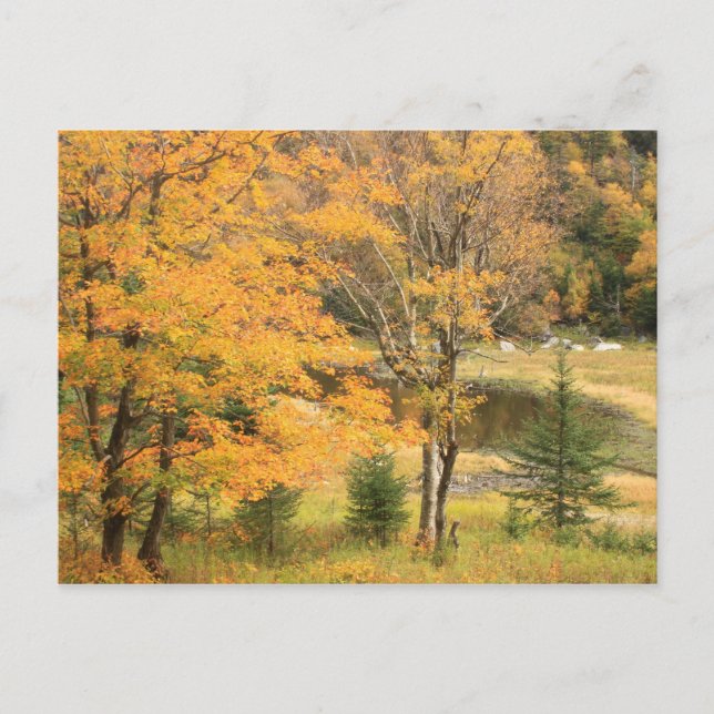 Appalachian Gap Pond Vermont Postkarte (Vorderseite)