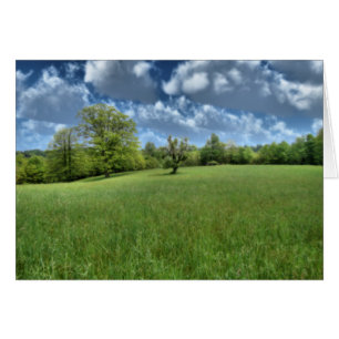 Appalachian Green Card