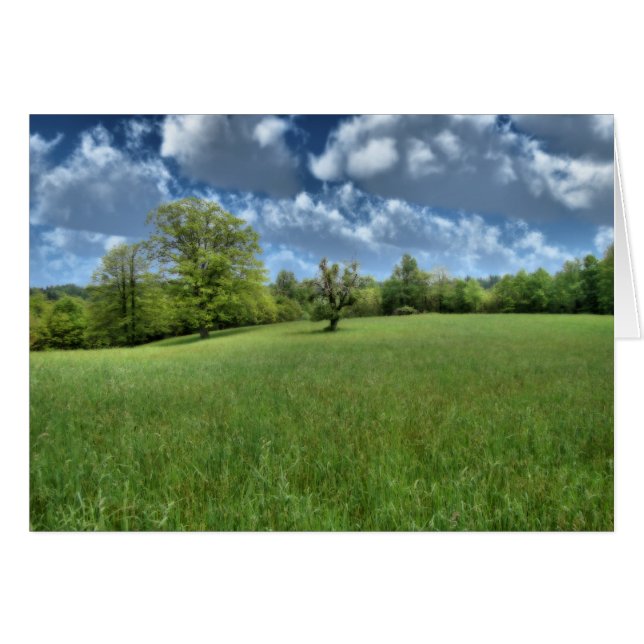 Appalachian Green Card (Vorderseite (Horizontal))