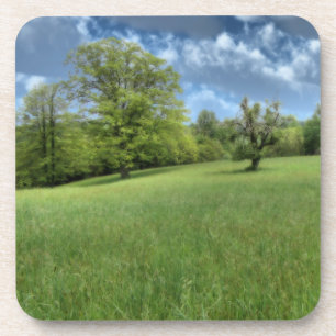 Appalachian Green Cork Untersetzer