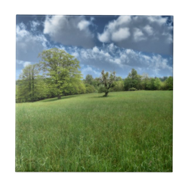 Appalachian Green Decorative Tile Fliese (Vorderseite)