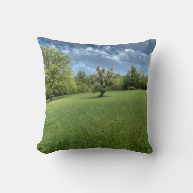 Appalachian Green Kissen (Vorderseite)