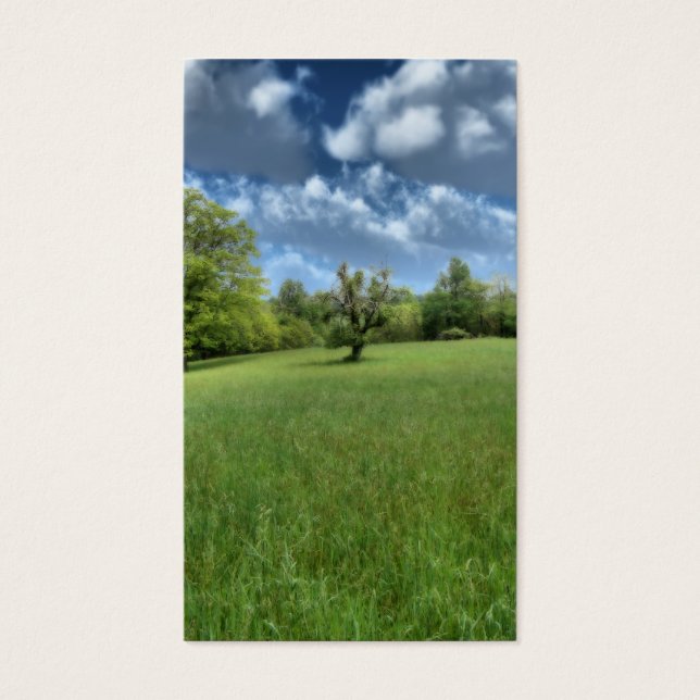 Appalachian Green Lesezeichens (Vorderseite)