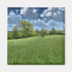 Appalachian Green Magnet