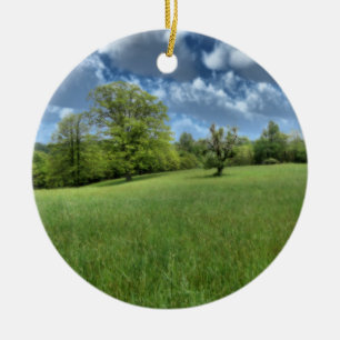 Appalachian Green Ornament
