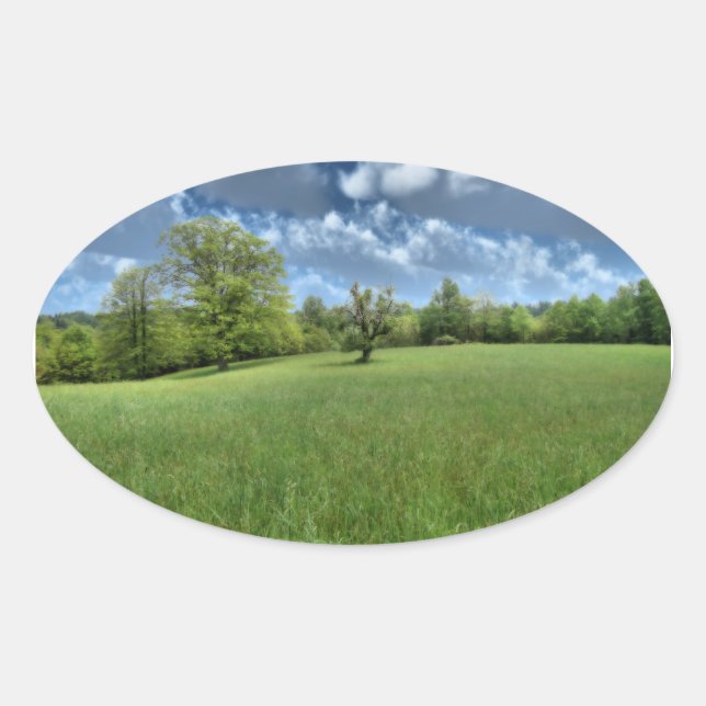 Appalachian Green Stickers (Vorderseite)