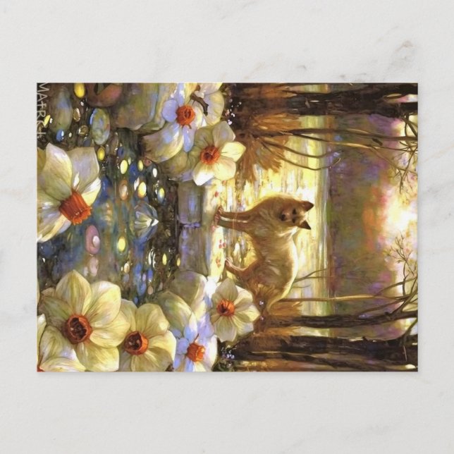 Appalachian-Tiere Postkarte (Vorderseite)