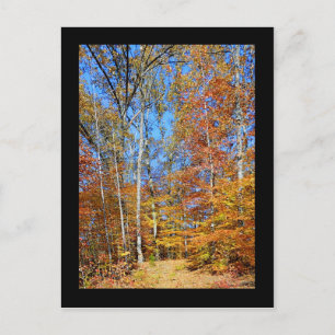 Appalachian Trail Autumn, Fall Scenery Postcard Postkarte