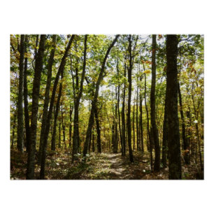 Appalachian Trail im Oktober im Shenandoah Poster