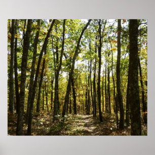 Appalachian Trail im Oktober im Shenandoah Poster