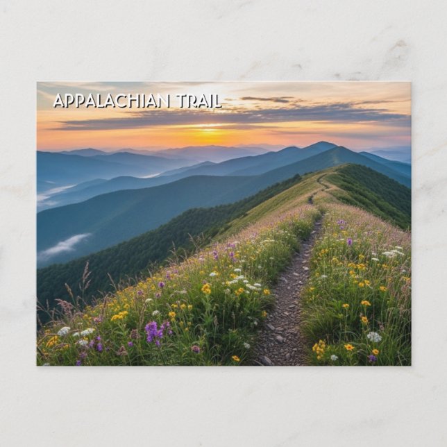 Appalachian-Trail-Reise Postkarte (Vorderseite)