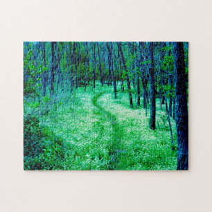Appalachian Trail Virginia. Puzzle