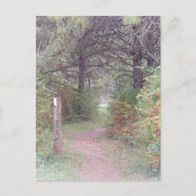 appalachischer Hinterfall Pennsylvania Postkarte (Vorderseite)