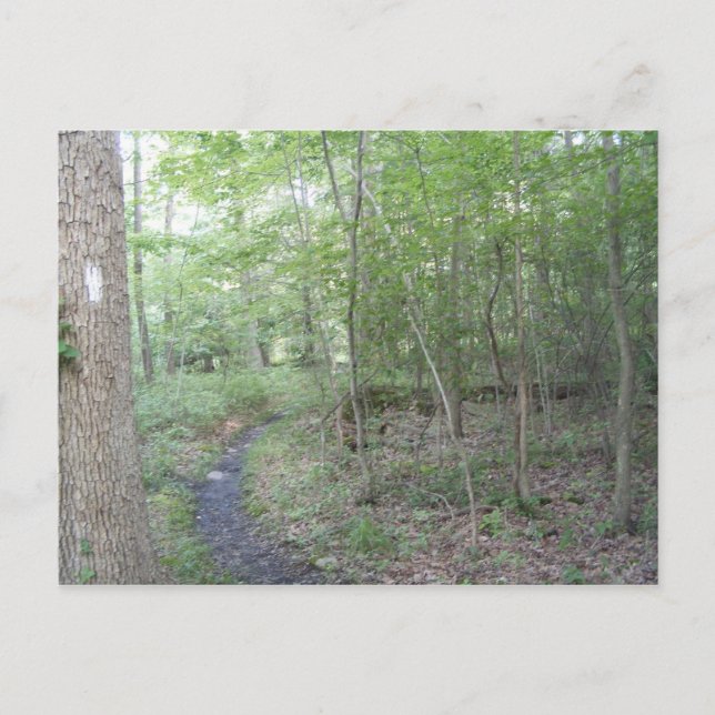 appalachisches Hinterpennsylvaniasüdberg Postkarte (Vorderseite)