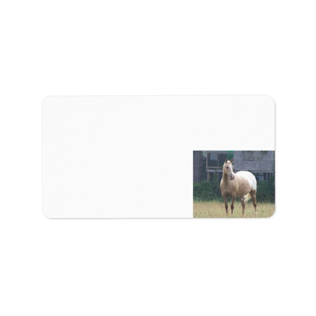 Appaloosa Adressaufkleber (Vorne)