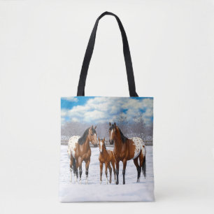Appaloosa brauner Bucht Pferde im Schnee