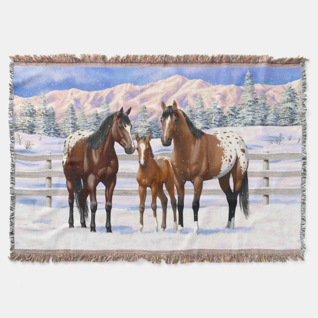 Appaloosa brauner Bucht Pferde im Schnee Decke (Vorderseite)