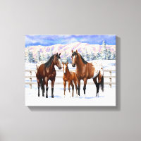 Appaloosa brauner Bucht Pferde im Schnee
