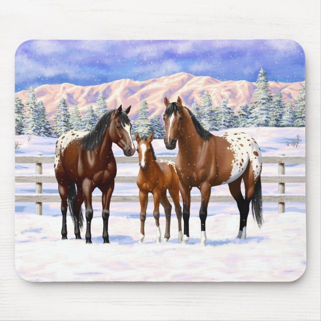 Appaloosa brauner Bucht Pferde im Schnee Mousepad (Vorne)