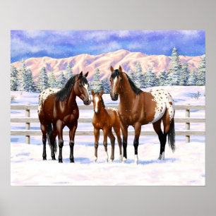 Appaloosa brauner Bucht Pferde im Schnee Poster