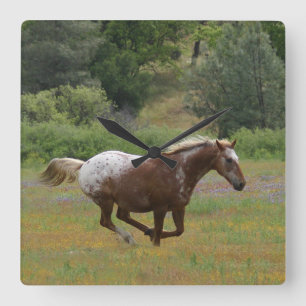Appaloosa Clock Quadratische Wanduhr