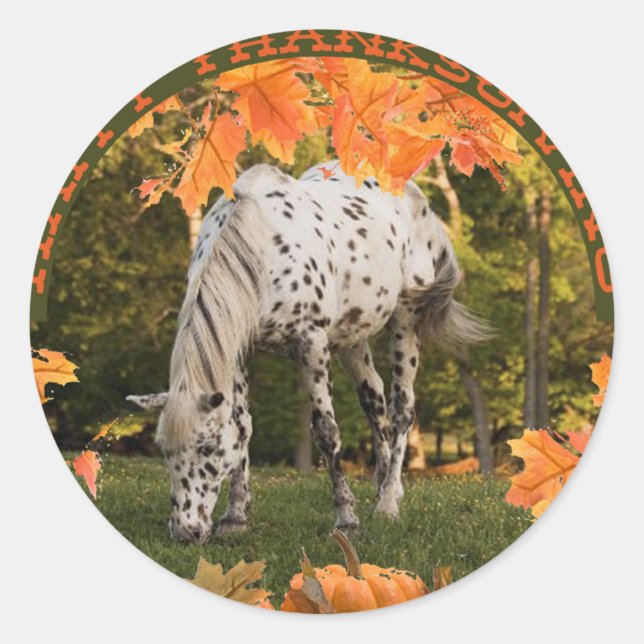 Appaloosa-Erntedank Runder Aufkleber (Vorderseite)