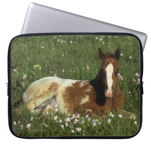 Appaloosa-Fohlen, das in den Blumen niederlegt Laptopschutzhülle