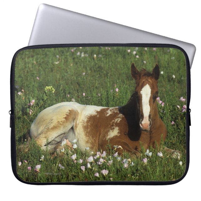 Appaloosa-Fohlen, das in den Blumen niederlegt Laptopschutzhülle (Vorderseite)