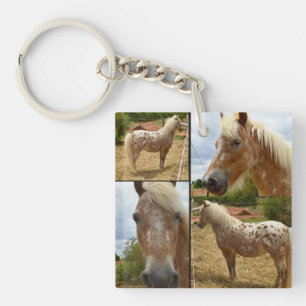Appaloosa Horse Foto Collage, Schlüsselanhänger