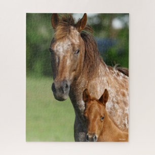 Appaloosa Horse Mare and Foal Headshot Puzzle