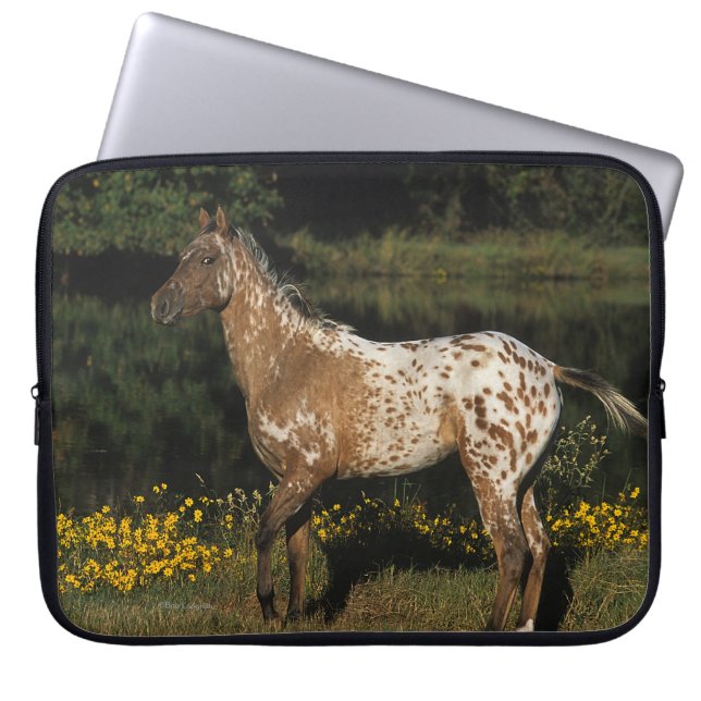 Appaloosa-Horsebereitstehender See Laptopschutzhülle (Vorderseite)