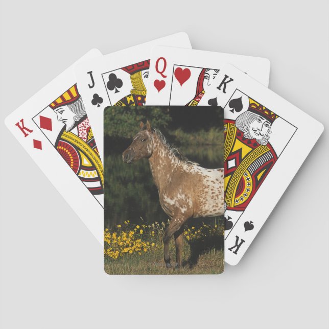 Appaloosa-Horsebereitstehender See Spielkarten (Rückseite)