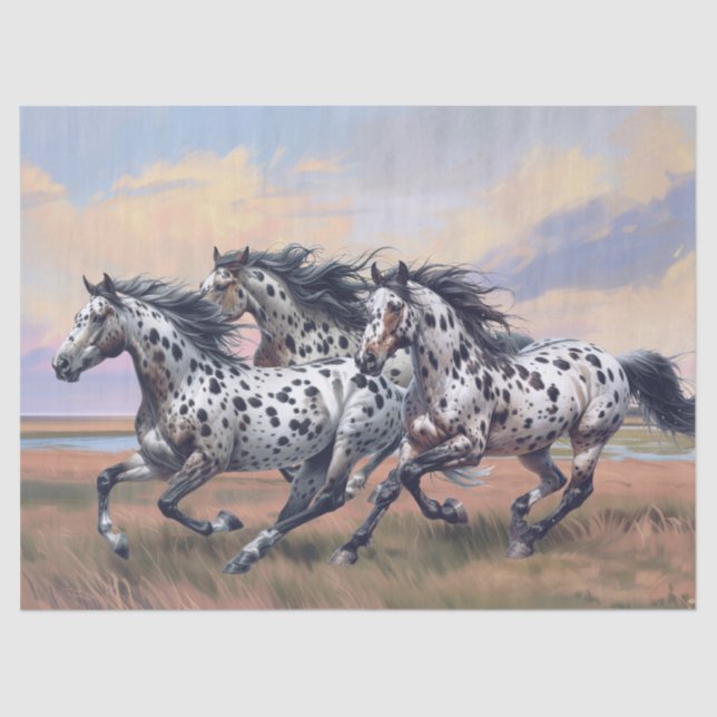 Appaloosa Horses Seidenpapier (Vorderseite)