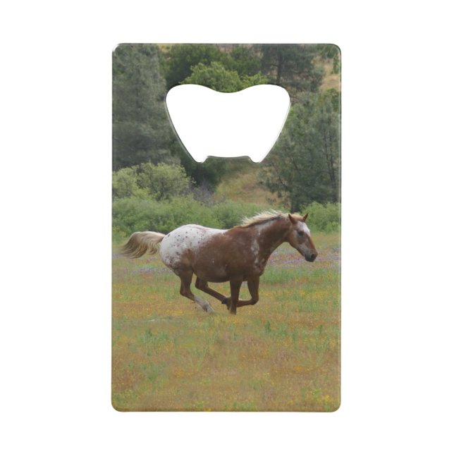 Appaloosa Kreditkarte Flaschenöffner (Vorderseite)