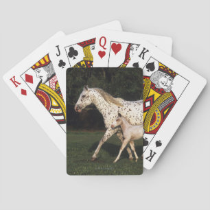 Appaloosa Mare And Foal in Field Spielkarten