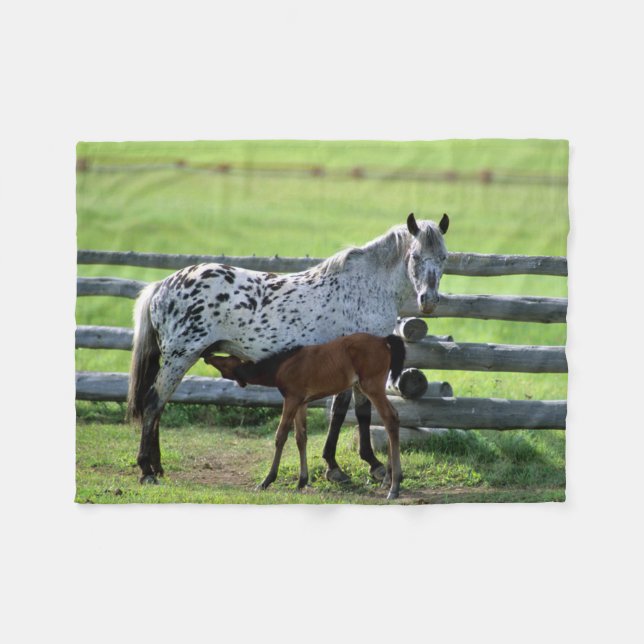 Appaloosa Mare und Colt Horse Fleecedecke (Vorderseite (Horizontal))