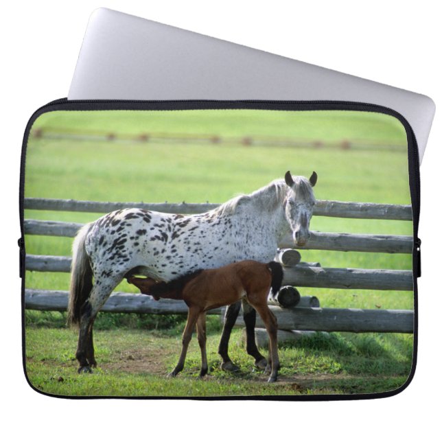 Appaloosa Mare und Colt Horse Laptopschutzhülle (Vorderseite)