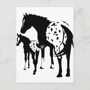 Appaloosa Mare und Foal Postkarte