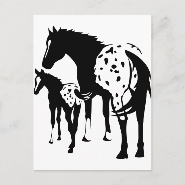 Appaloosa Mare und Foal Postkarte (Vorderseite)