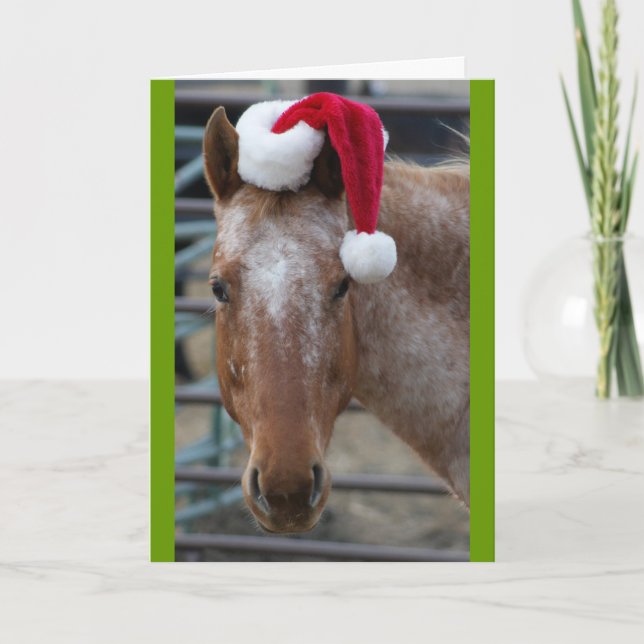 Appaloosa mit Weihnachtsmannmütze Feiertagskarte (Vorderseite)