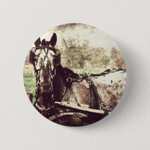 Appaloosa Pferd Button