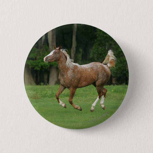 Appaloosa-Pferd Button (Vorderseite)