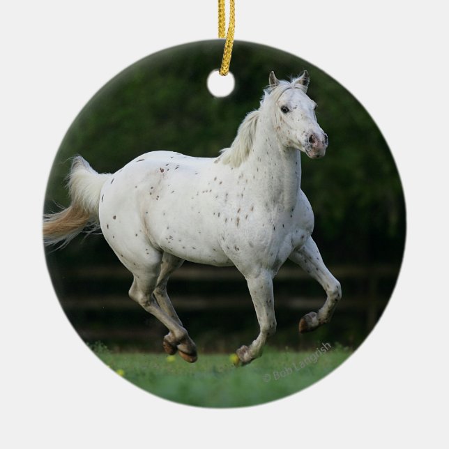 Appaloosa-Pferd, das 1 laufen lässt Keramik Ornament (Vorne)