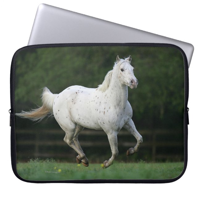 Appaloosa-Pferd, das 1 laufen lässt Laptopschutzhülle (Vorderseite)