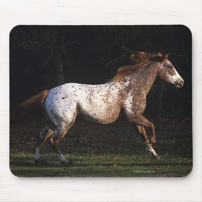 Appaloosa-Pferd, das 4 laufen lässt Mousepad (Vorne)