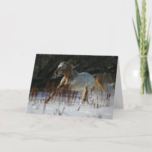 Appaloosa-Pferd, das in den Schnee läuft Karte